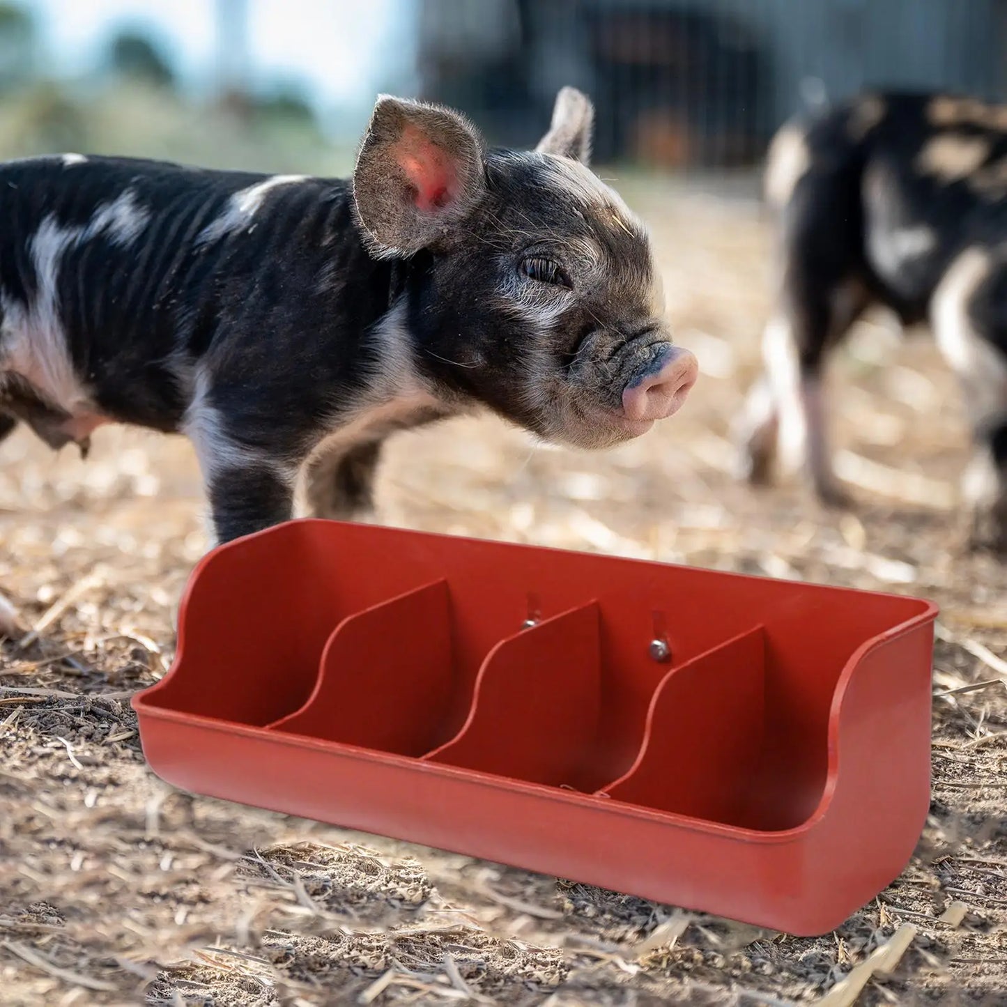 Piglet Fodder Slot Farm Animal Supplies Livestock Fodder Dish Feeding Bowl Food Feeder Pig Feeder for Cattle Pigeon Dog Goat