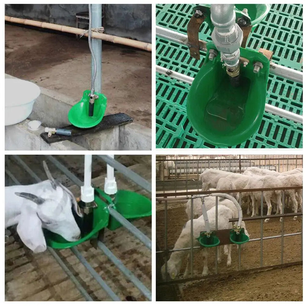 Automatic Farm Feeding Water Bowl Dispenser, Drinking Bowl for Sheep, Goats, Piglets, Farm, Livestock Supply