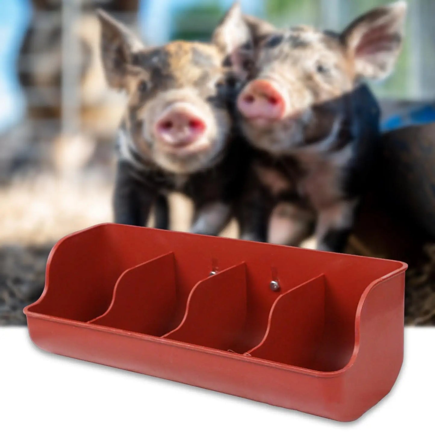 Piglet Fodder Slot Farm Animal Supplies Livestock Fodder Dish Feeding Bowl Food Feeder Pig Feeder for Cattle Pigeon Dog Goat